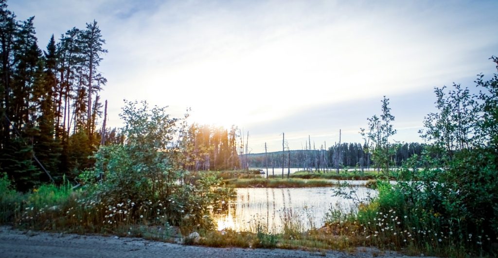 DSC00068 (Medium) Chapleau Cree First Nation